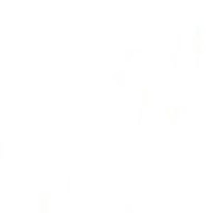 Meet your Posher, Raki